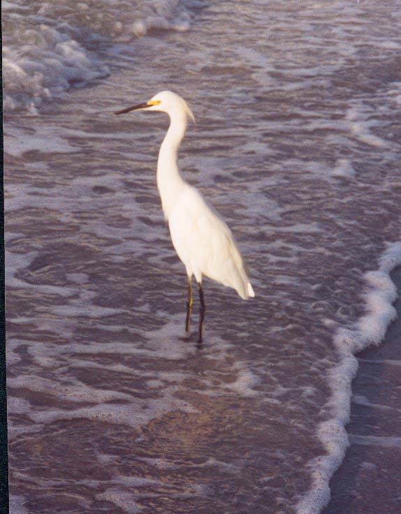image002