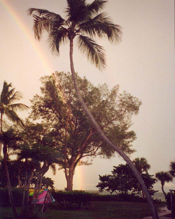 image004