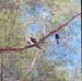 image001
