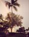 image004